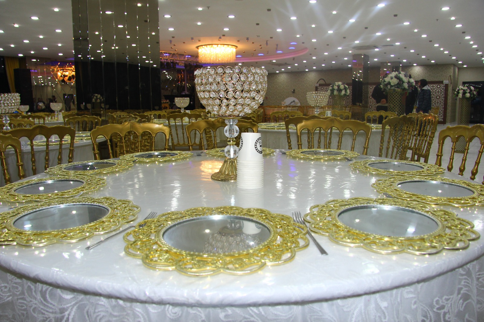 SALONUMUZDAN KARELER